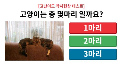 고난이도 착시현상 테스트, 당신의 뇌를 시험해보세요!